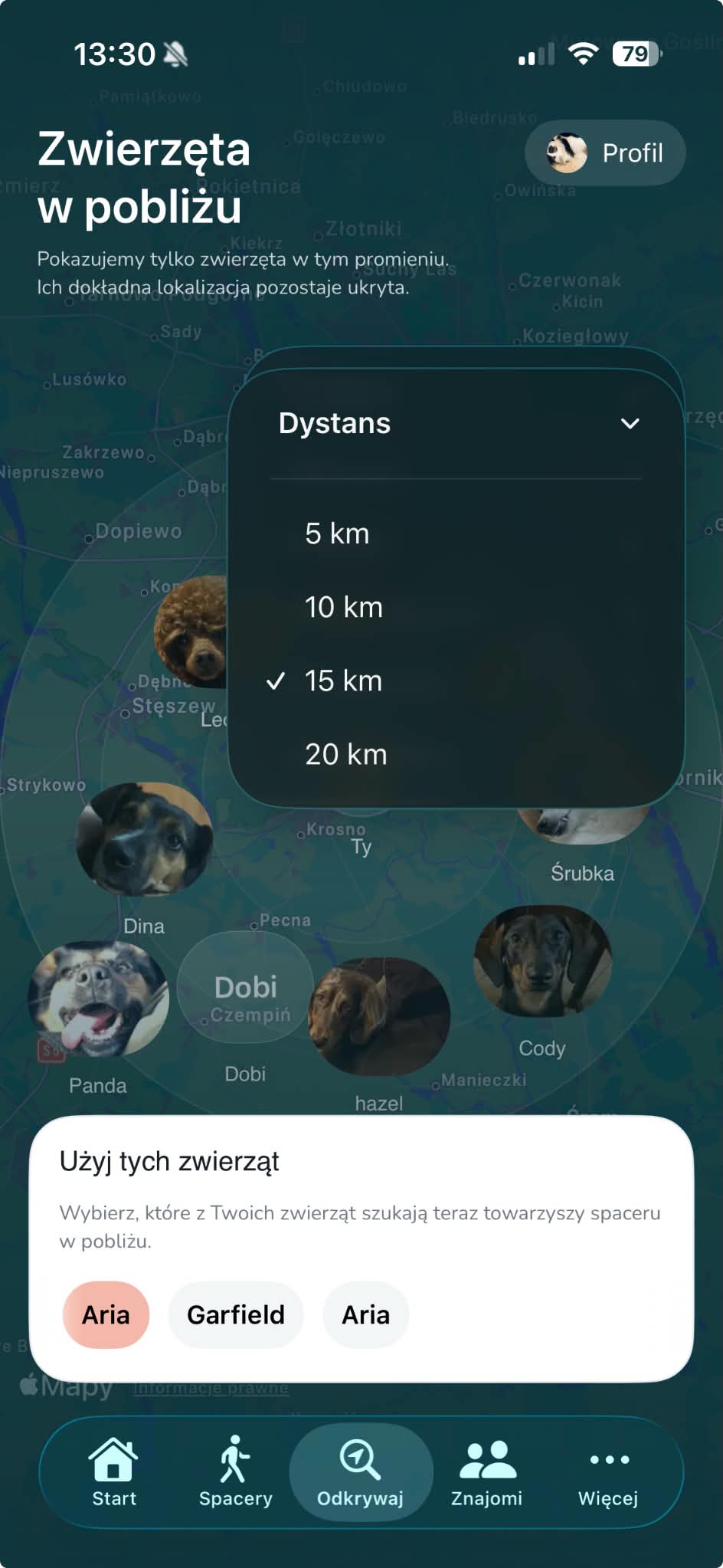 Nearby dog discovery screen