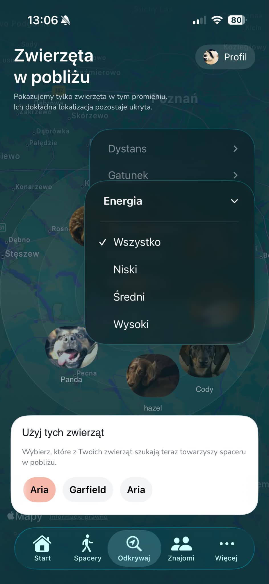 Dog matching screen