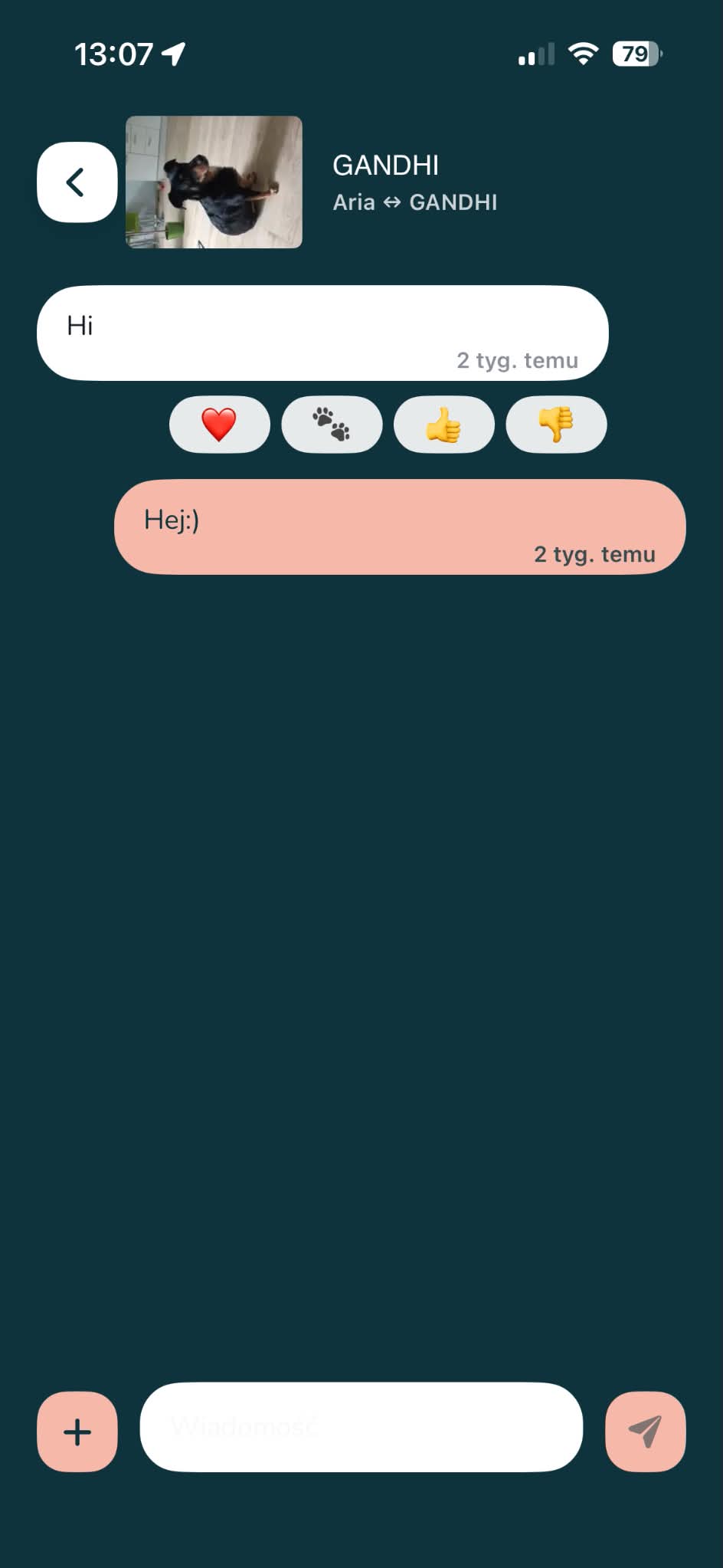 In-app conversation screen