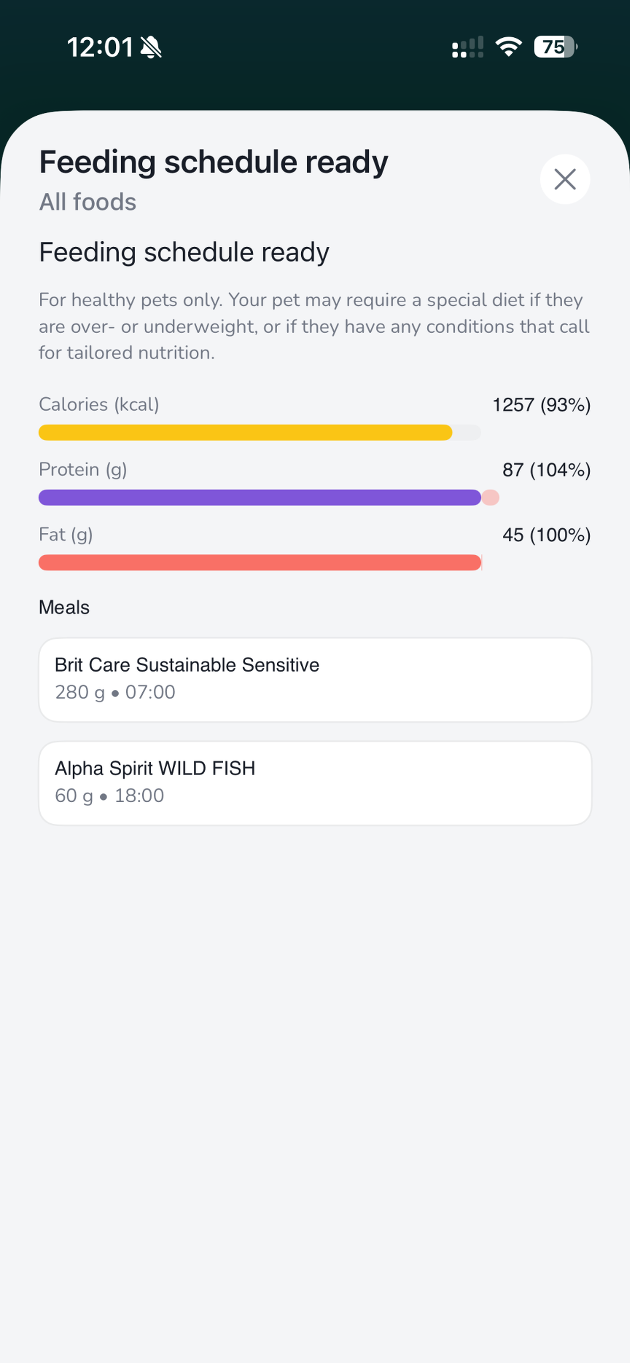 Plan żywienia i makroskładniki