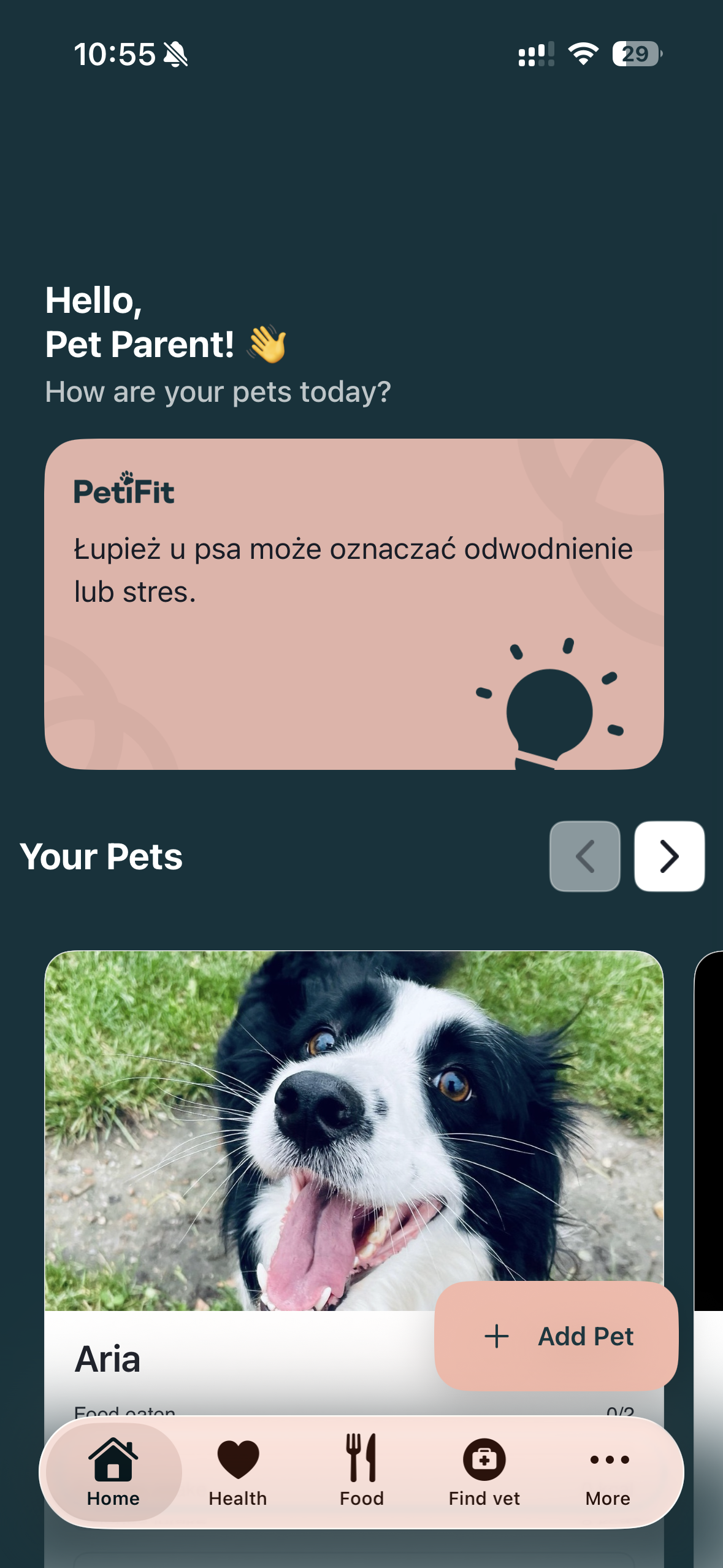 PetiFit Dashboard