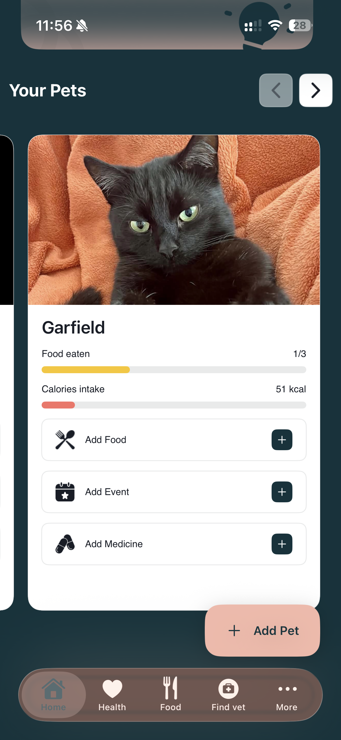Dashboard: PetiTip i podsumowanie